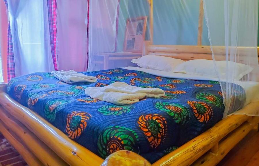 Bwindi (Double Room-ground floor) Room